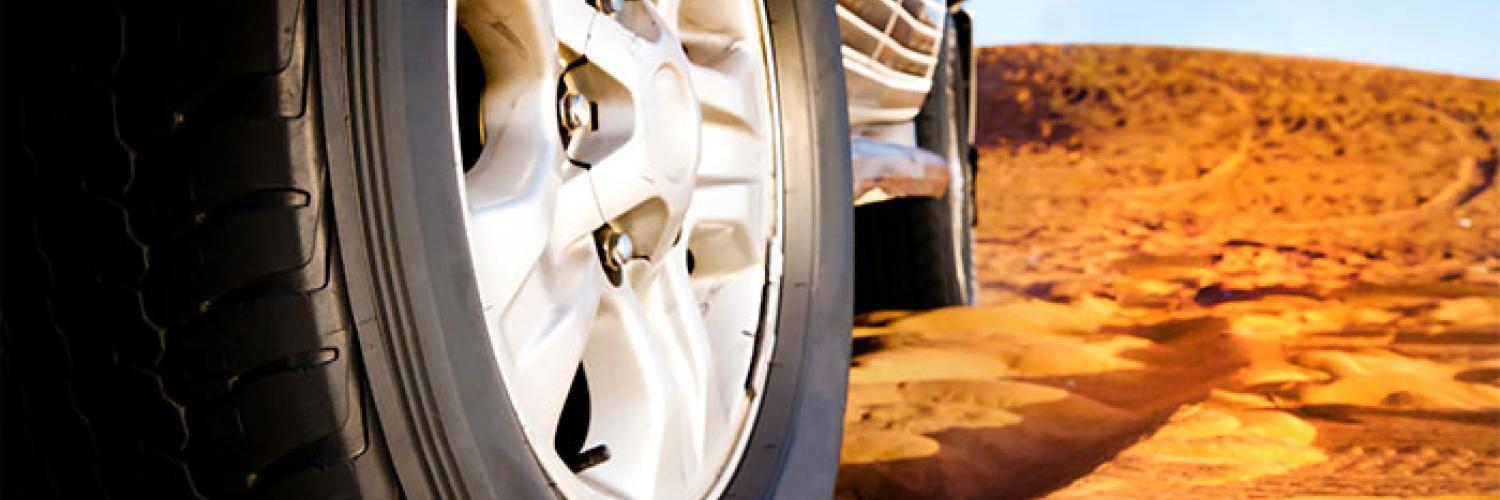 flota de 10 vehículos para minas 