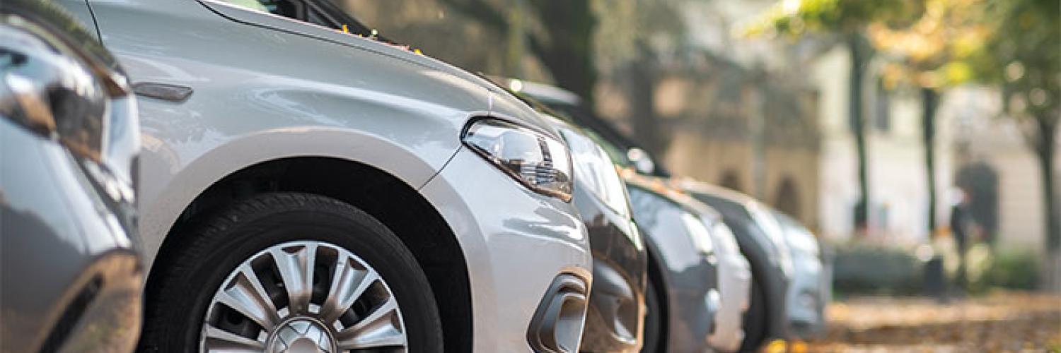 flota de vehículos rentable 