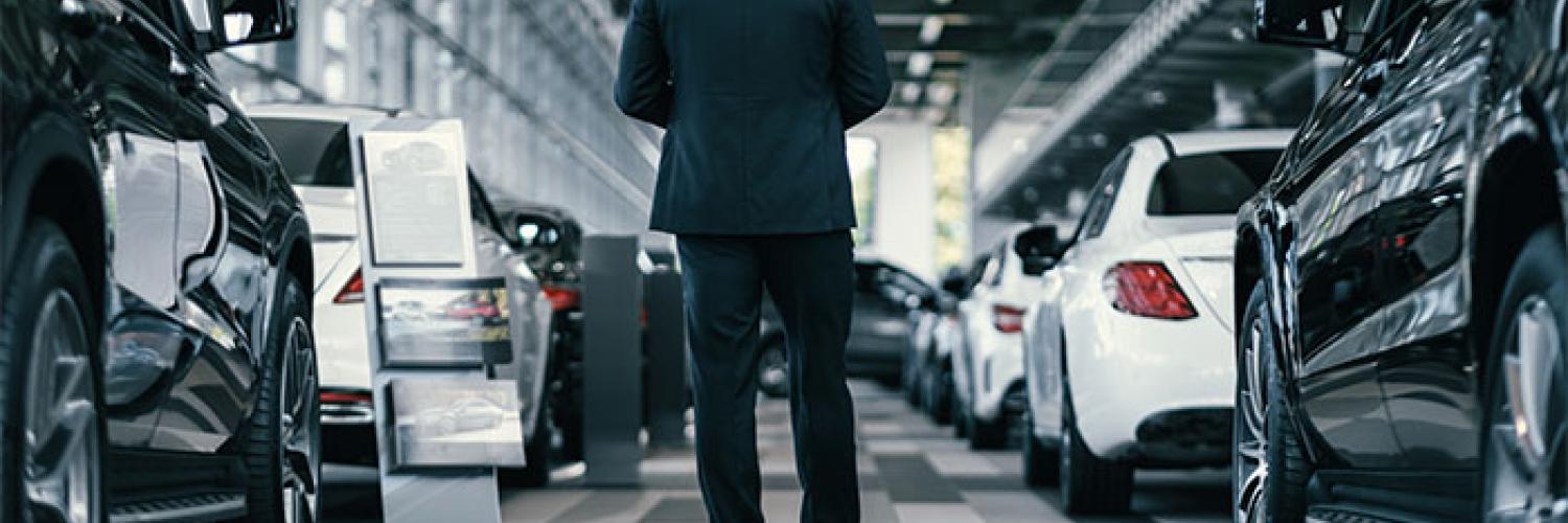 tipos de flotas vehiculares